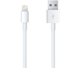 Câble de charge Lightning iPhone
